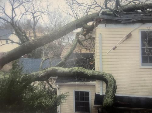 Storm Damage Evaluation in New York