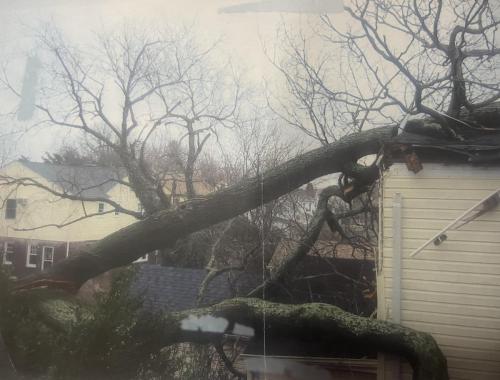 Storm Damage Evaluation in New York